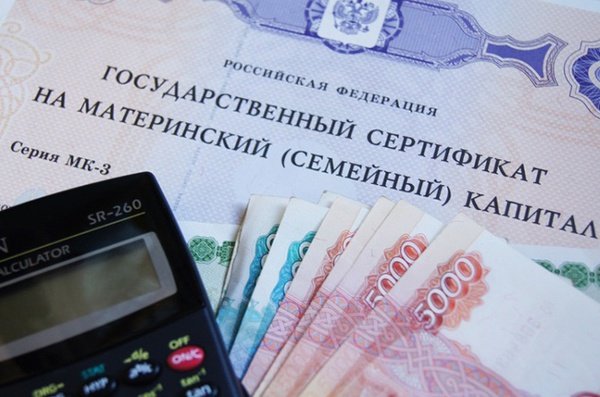 Брянцы потратили на образование 30 млн рублей материнского капитала