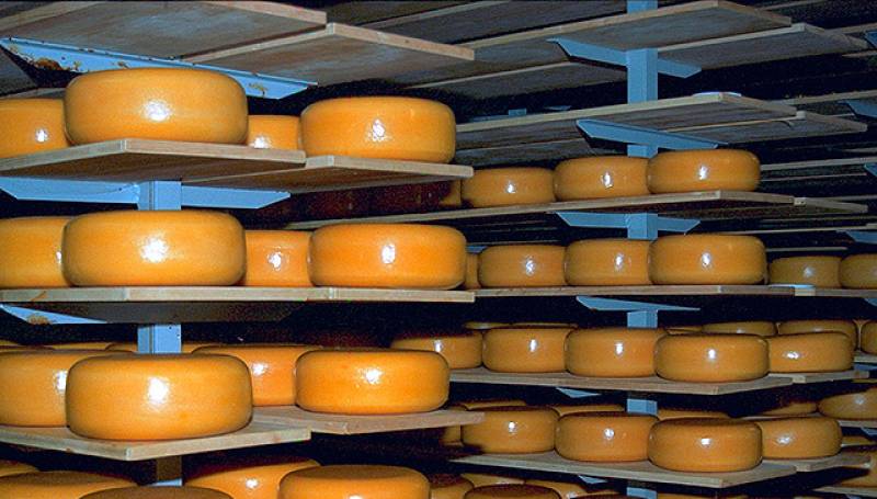 Брянщина вошла в пятерку ведущих производителей сыра в России
