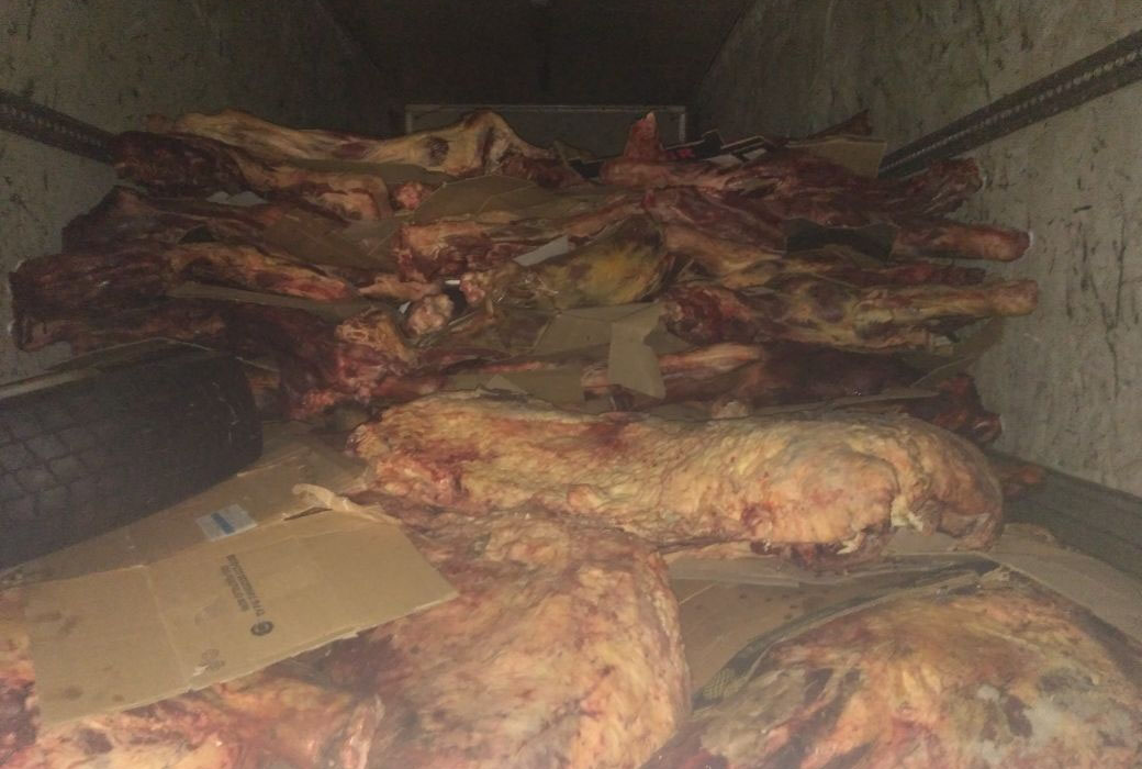 В Суражском районе задержали фуру с мясом