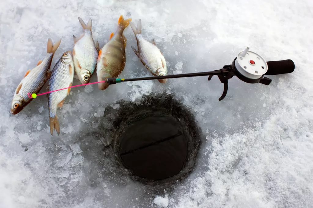 В Стародубе ждут любителей зимней рыбалки