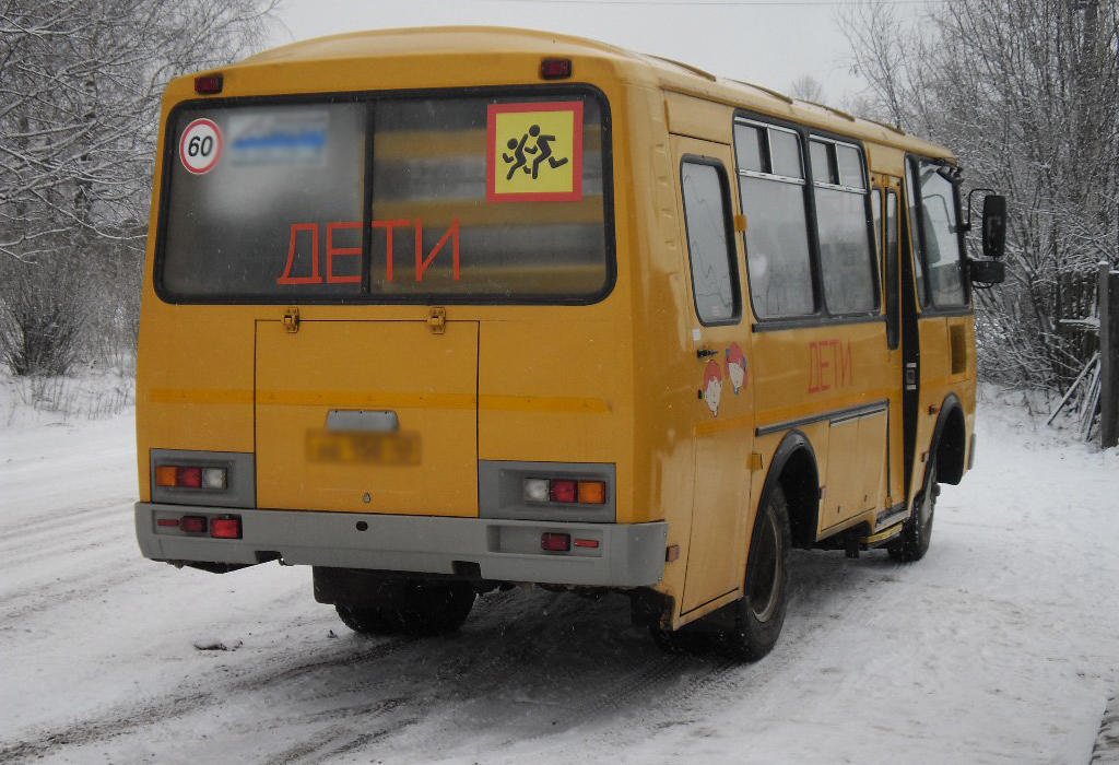 Дети из брянского поселка Солнце идут 2,5 километра до остановки школьного автобуса