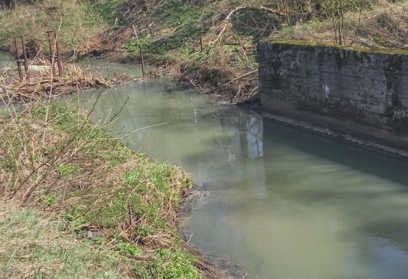 Экологи: два крупных сырзавода сделали «мертвой» речку в Стародубе