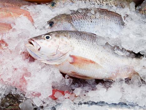 ВС РФ: глазированную мороженую рыбу вразвес нужно продавать без учета веса ледяной глазури