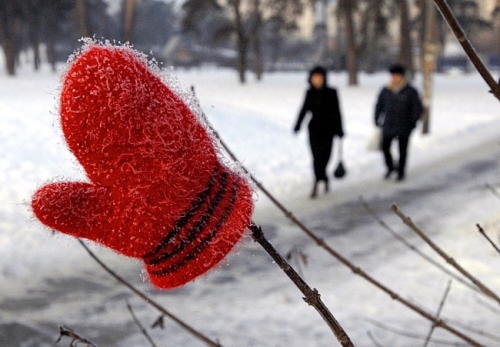 20 февраля на территории Брянской области облачно с прояснениями