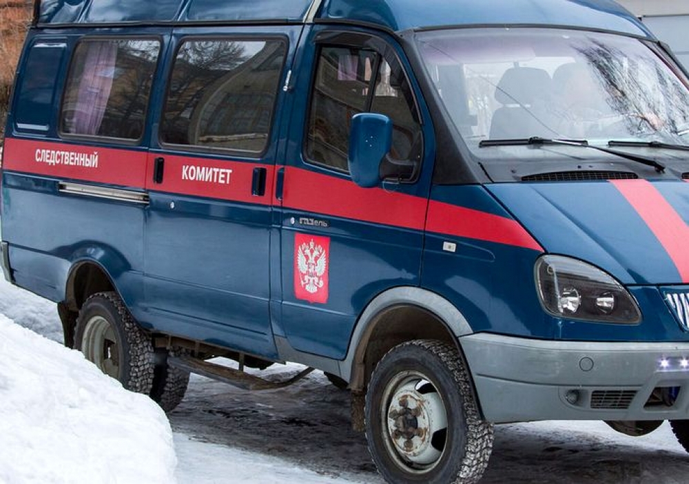 Уроженка Брянской области выбросила в снег новорожденную дочь в Подмосковье