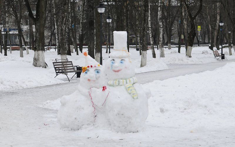 Жюри не смогло выбрать лучшего среди потрясающих снеговиков в парке в Брянске