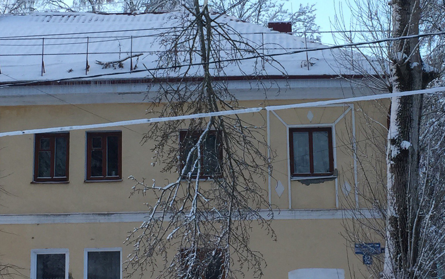 Возле двухэтажки в Брянске большой сук повис на проводах