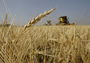 В Почепском районе за два года производство зерна увеличилось в 3,5 раза
