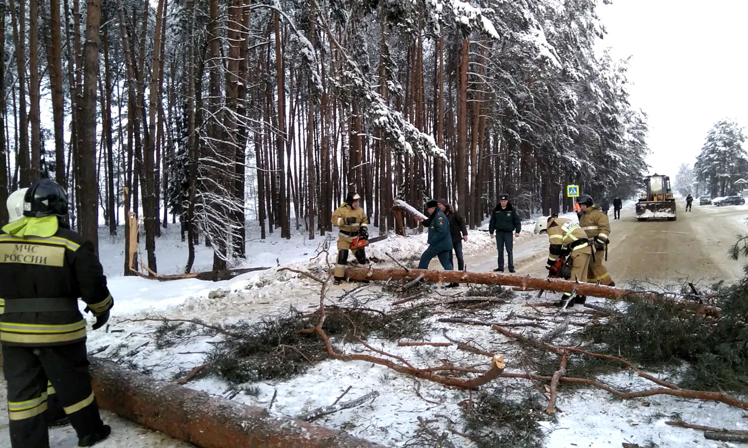 Снежный покров в ряде районов Брянской области достиг 40 см