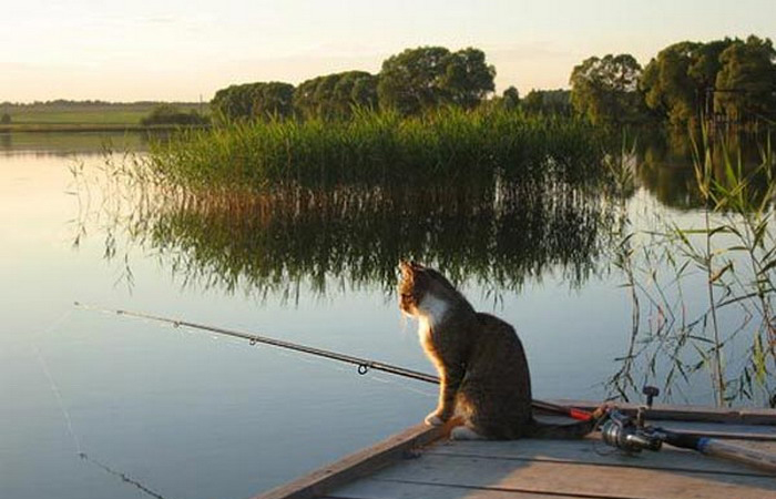 В десяти районах Брянщины с завтрашнего дня запретят ловить рыбу
