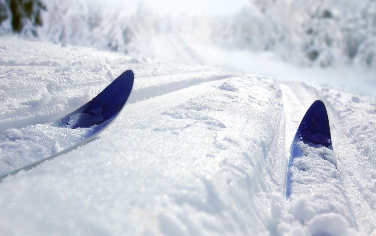 В Новозыбкове организуют лыжные гонки в память о легендарном Анатолии Бавкунове