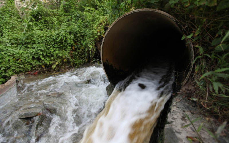 Выгоничский водоканал загрязняет две реки и ручей