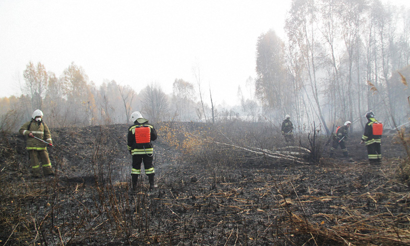 В Брянской области в ближайшие два дня прогнозируют природные пожары