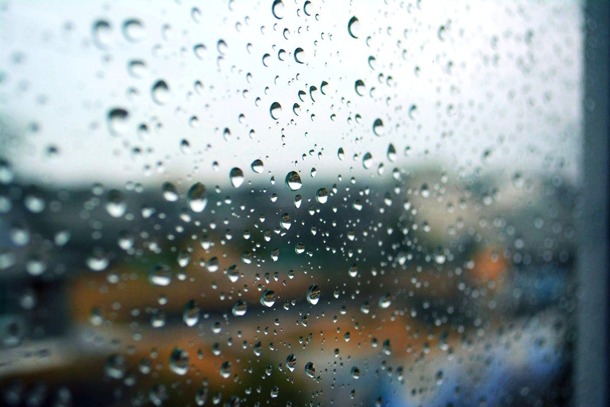 В Брянской области в воскресенье резко похолодает и пойдет дождь