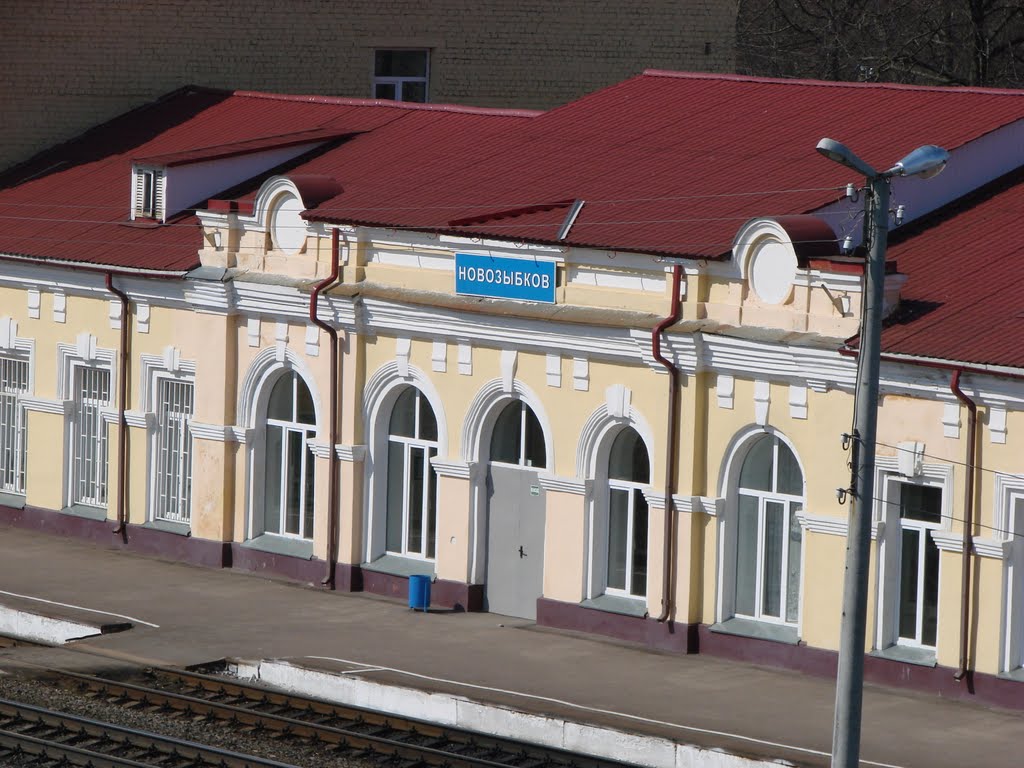 Брянск и Новозыбков с двумя столицами свяжут дополнительные поезда