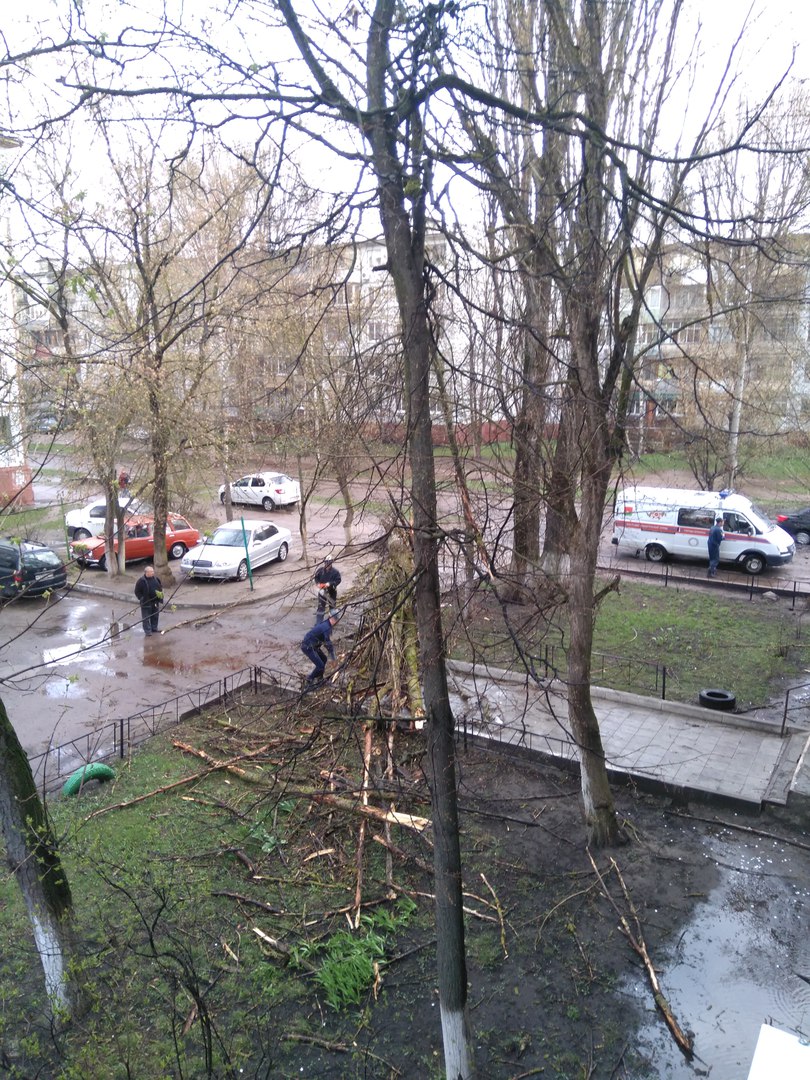 В Брянской области от урагана пострадали люди, здания, деревья и машины •  БрянскНОВОСТИ.RU