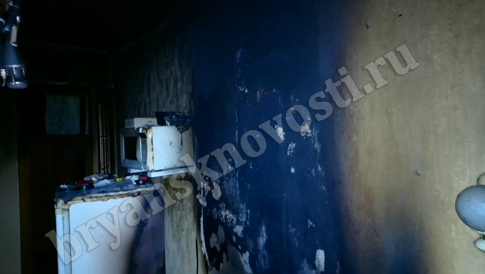 В Новозыбкове загорелась квартира, когда хозяев не было дома