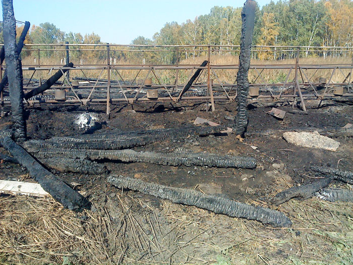В брянском селе сгорел телятник