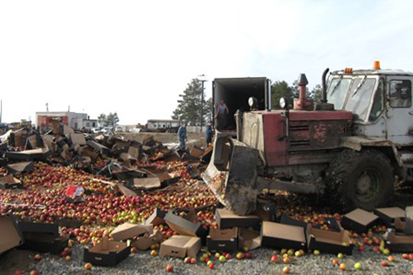 Под Новозыбковом уничтожены десятки тонн ливанской клубники, турецких помидоров и молдавских яблок