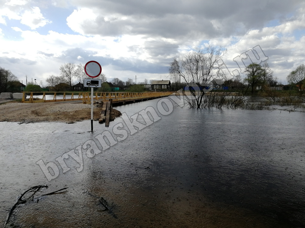 Разлив на реке Ипуть осложнил жизнь селянам в Новозыбковском районе