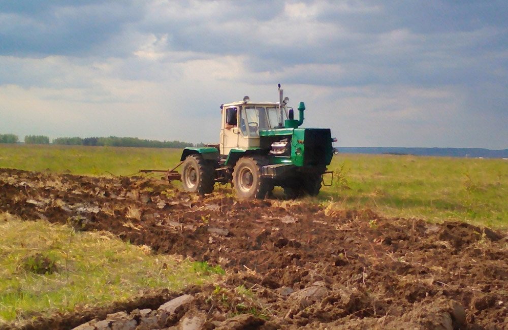 Новозыбковские аграрии планируют ввести в оборот еще 1000 га земель