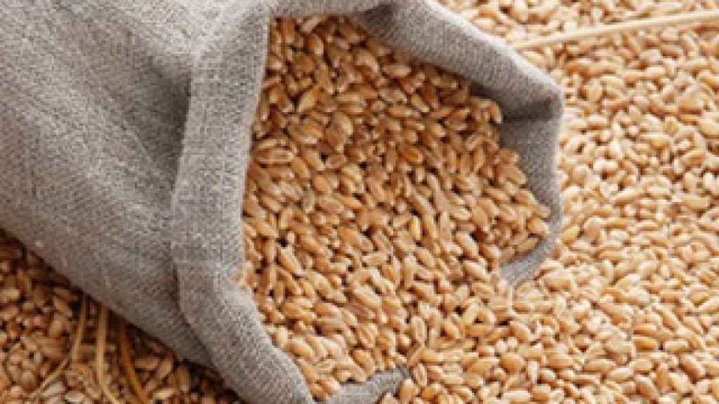 Двое селян из Брянского района украли более полутонны зерна