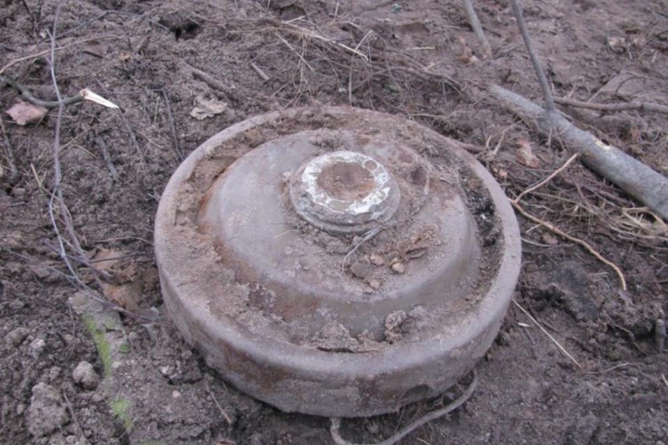 Селянин из Новозыбковского района откопал мину в огороде