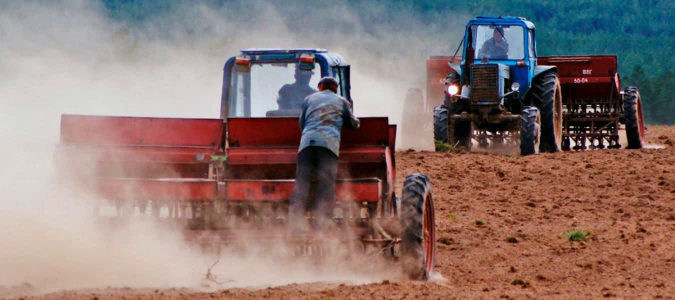 В Брянской области картофелеводы засеяли более 2000 гектаров