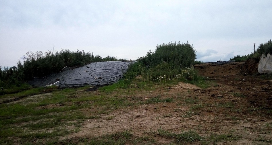 Экологи обеспокоены состоянием животноводческих ферм в Погарском и Унечском районах