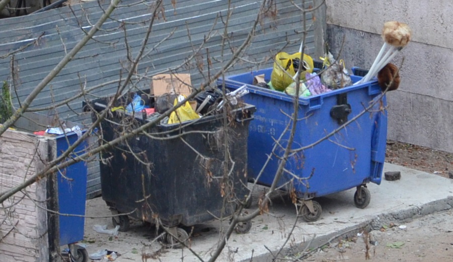 Экологи не нашли контейнеров для сбора ртутьсодержащих отходов во дворах многоэтажек в Брянске