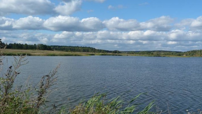 В Дятьковском районе загрязняется озеро