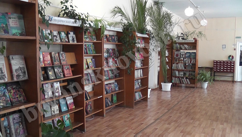 В Новозыбкове за неполные пять месяцев в библиотеке побывали более девяти тысяч горожан
