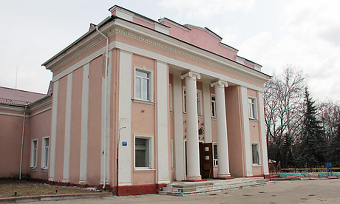 Полную реконструкцию здания театра кукол в Брянске обещают завершить в нынешнем году