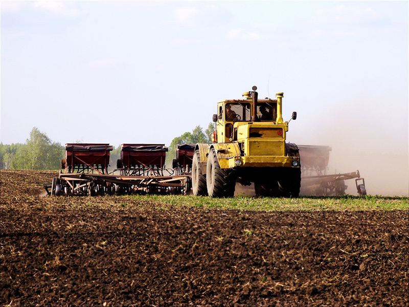 В Брянской области еще не засеяна пятая часть картофельных полей