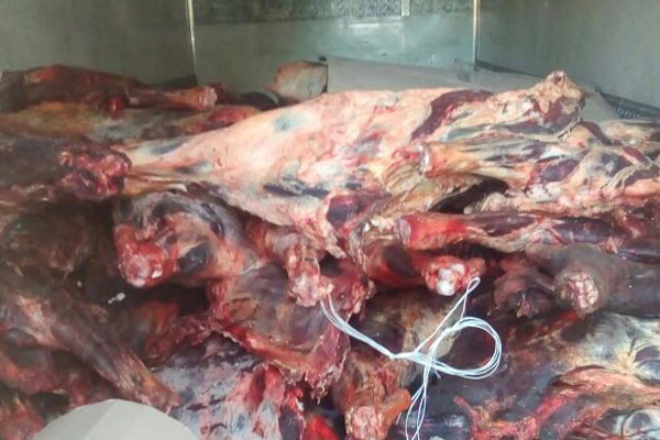 В Красногорском районе задержали белоруса с тоннами мяса