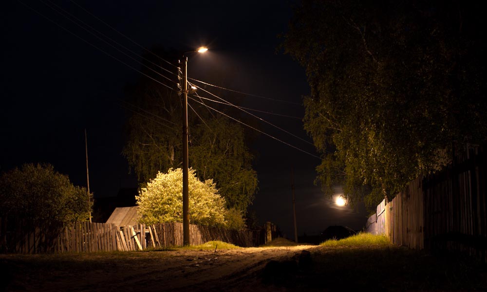 Жители брянской деревни потребовали осветить улицу