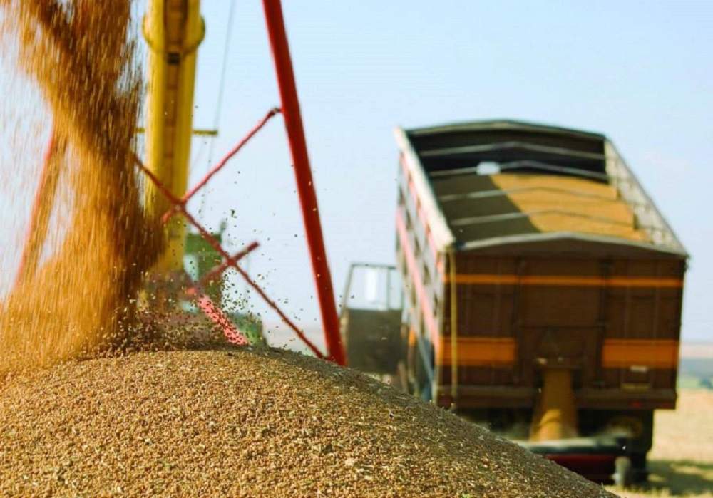 Железнодорожники вдвое увеличили перевозку зерна из Брянского региона