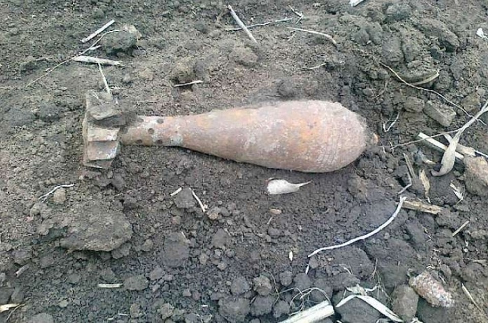 В трех районах Брянской области обезвредили арсенал боеприпасов