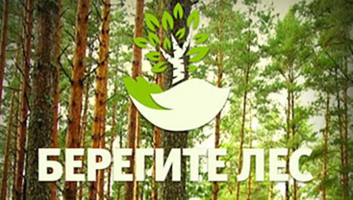 В Брянской области заработало приложение «Берегите лес»