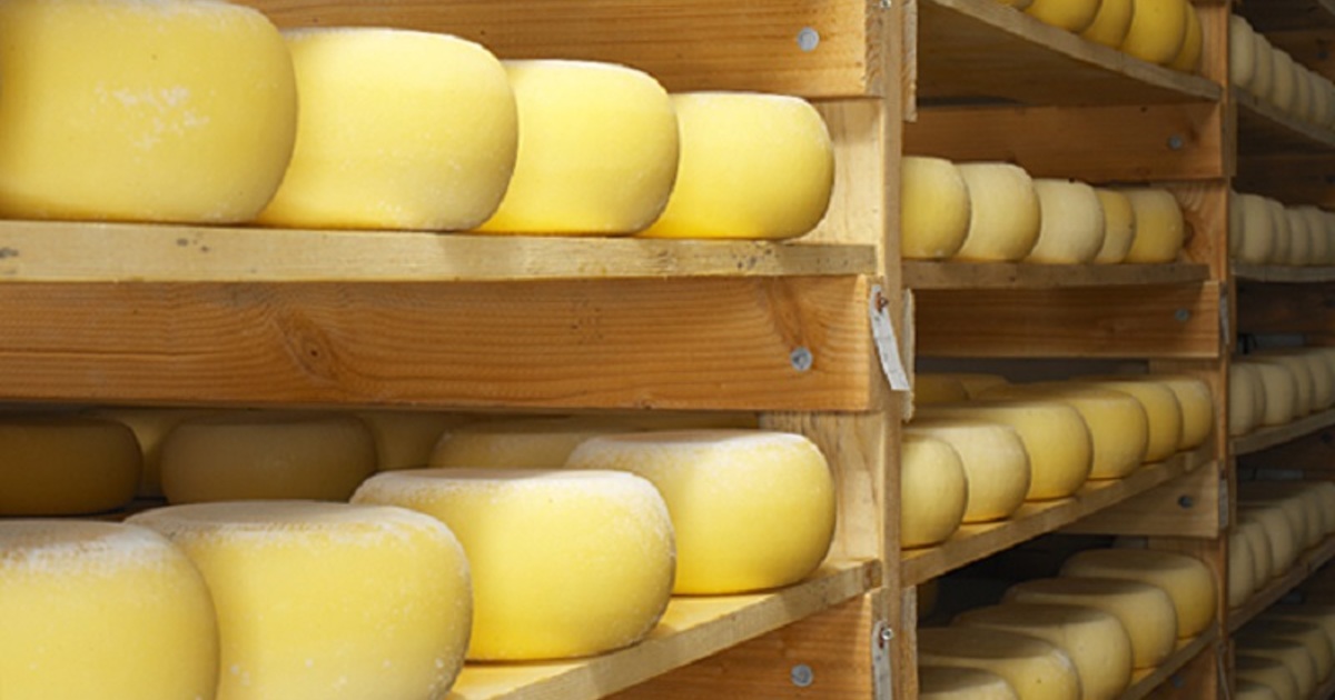 Брянщина сохраняет место в ТОП-5 регионов по производству сыра