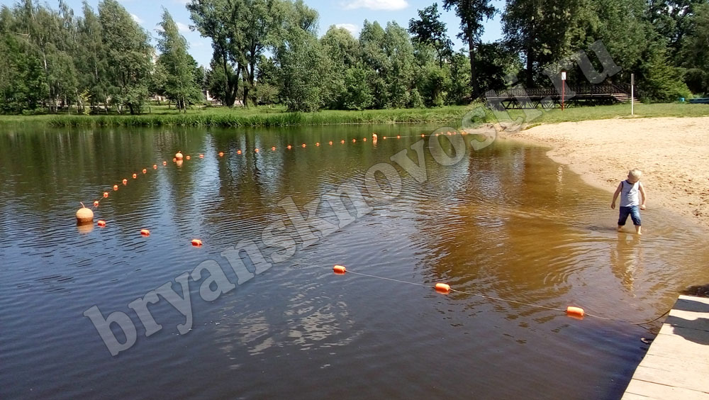 В Новозыбкове официально разрешено купаться