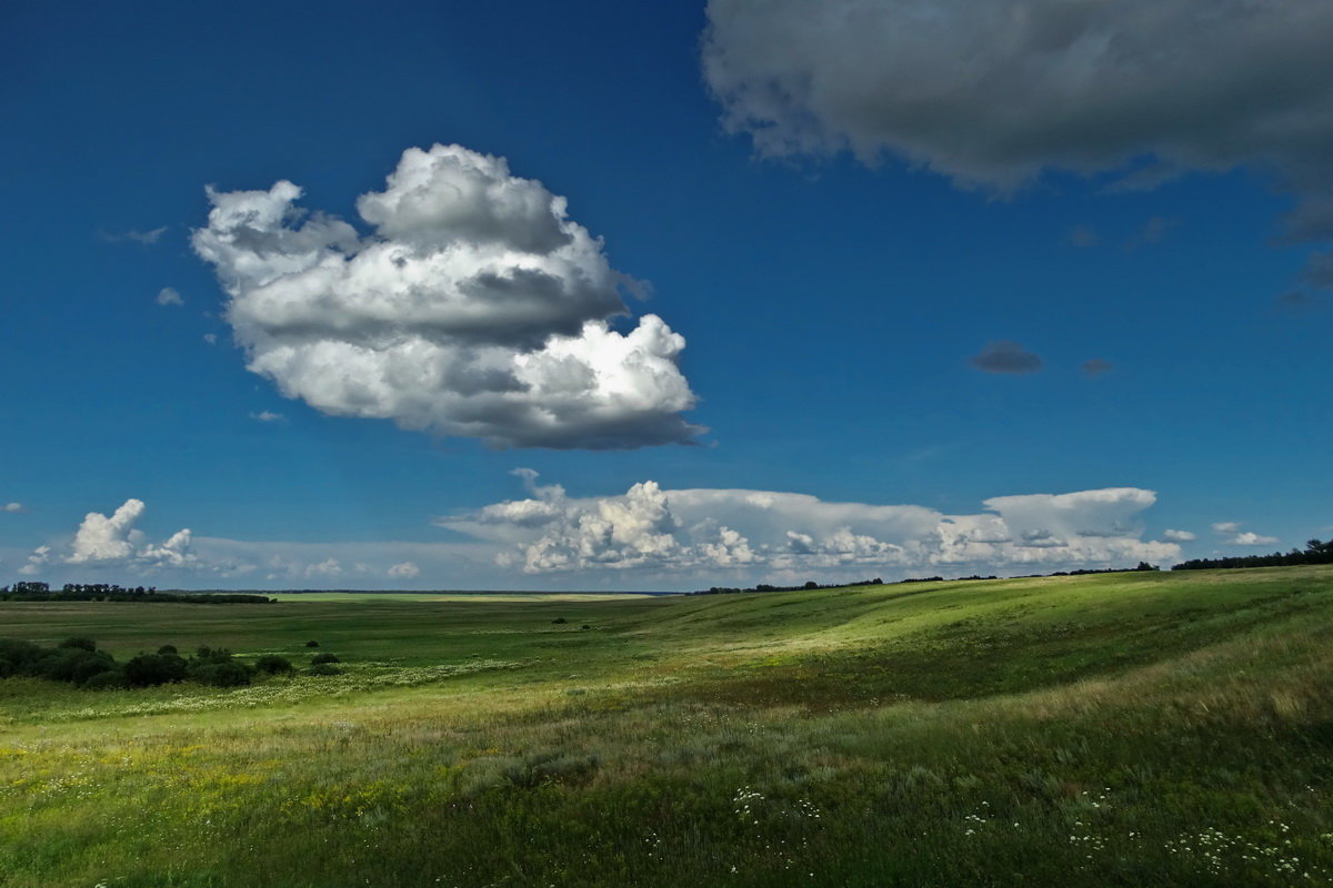10 июня на территории Брянской области переменная облачность