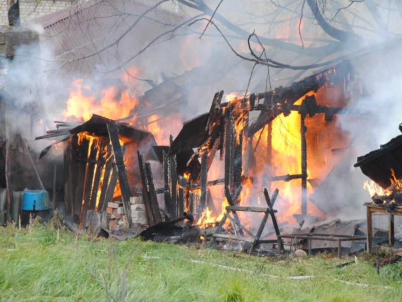 В Навле сгорели дом и надворные постройки