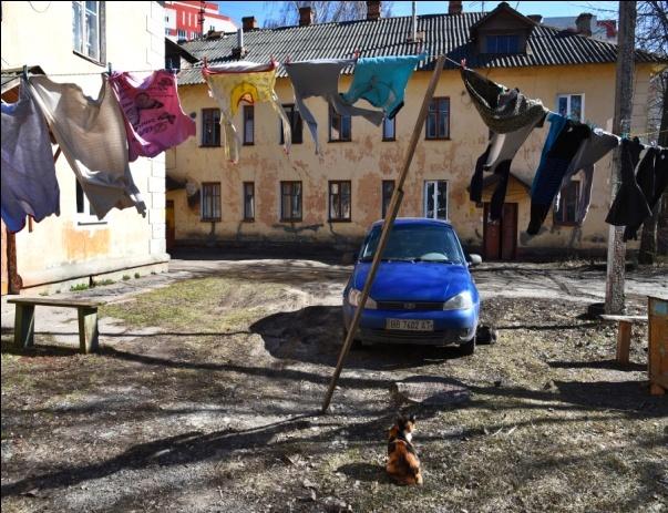 «Весенний ветер» брянского фотохудожника очаровал жюри в Витебске