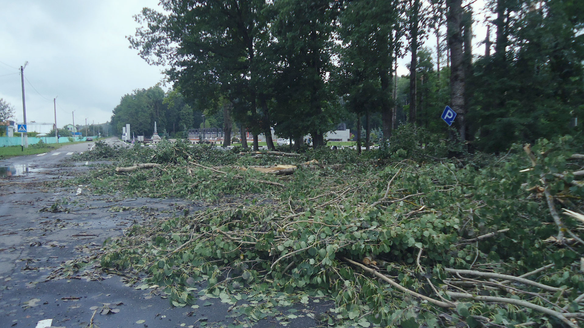 Поваленные деревья заблокировали проезд к мемориальному комплексу «Хацунь»