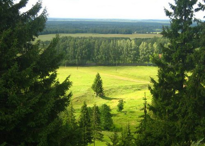 Брянщина вошла в ТОП-10 регионов по эффективности использования лесных ресурсов