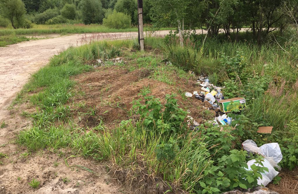 Власти проигнорировали общественников, вскрывших дорожные и экологические проблемы в селе Дятьковичи