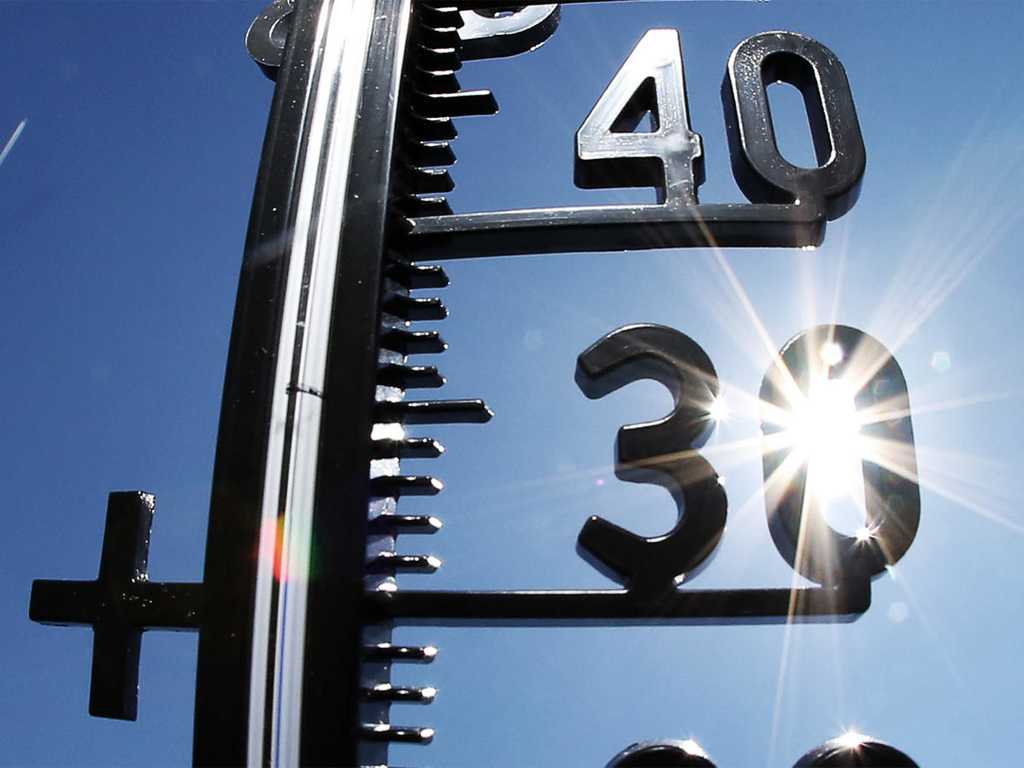 Сегодня в Брянской области синоптики прогнозируют до 31 градуса жары
