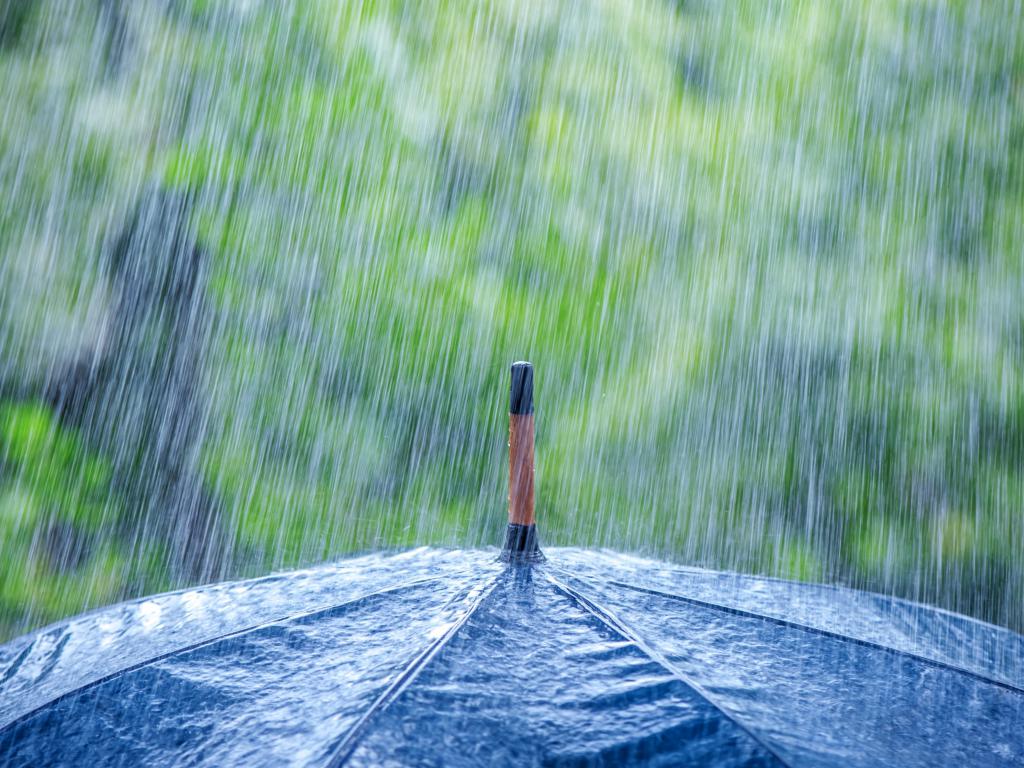 3 июля традиционно считается дождливым днем