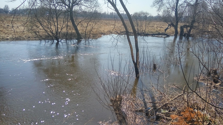 Экологи борются за реку Судость в Почепе